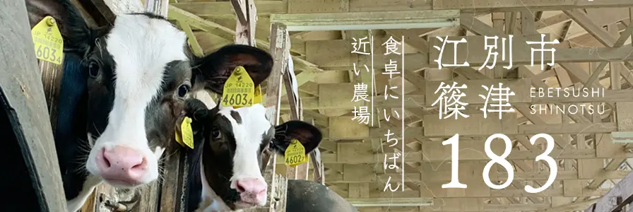 江別市篠津183